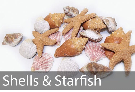 EAF Special Media EAF - Special Media, Shells & Starfish SS-CM
