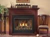 Fireplaces USA American Heart Madison Direct-Vent Fireplace, Deluxe 36 MV, Blower, Nat DVD36FP31N