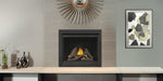 Napoleon Direct Vent Fireplace Napoleon Ascent™ Deep Series Gas Fireplace - Direct Vent, Electronic Ignition - Natural Gas / Liquid Propane