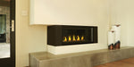 Napoleon Direct Vent Fireplace Napoleon VECTOR™ 50 Series Linear Gas Fireplace - Single Sided, Direct Vent, Electronic Ignition - Natural Gas / Liquid Propane LV50N-2