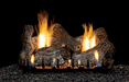 White Mountain Hearth Log Set Empire White Mountain Hearth Sassafras Log Set, 6-pc., 18-in., Refractory - LS18RS LS18RS